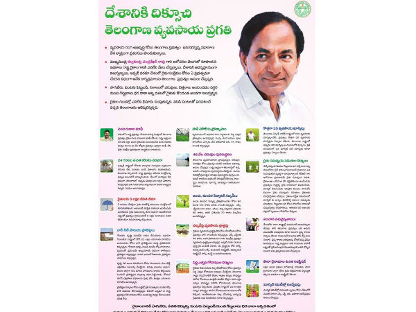  బంగారు పంటలు