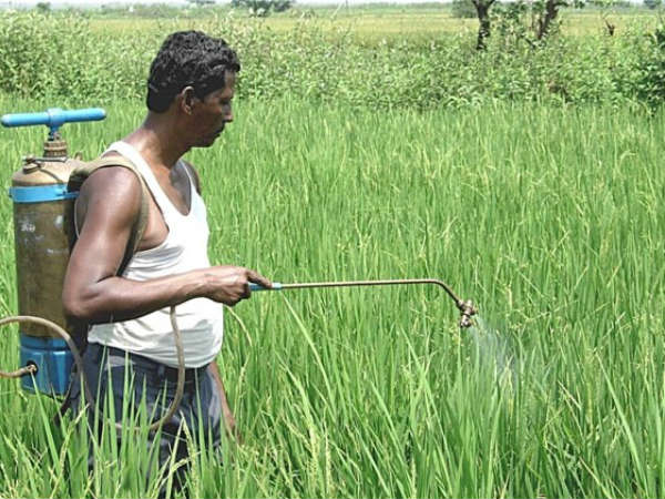 వ్యవసాయం అంటేనే...అలా మారింది