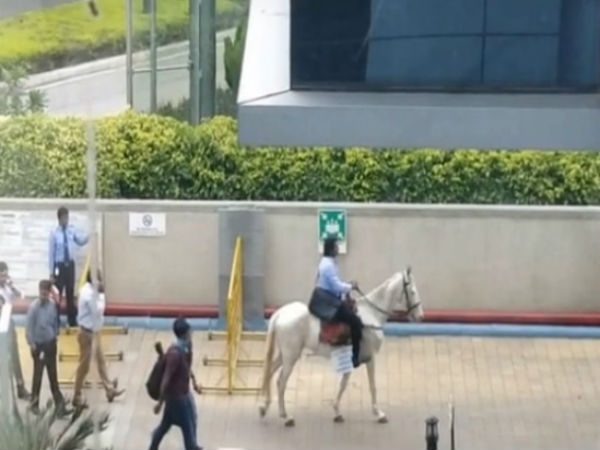Fed Up of Bengaluru Traffic, Techie Rides a Horse to Work on Last Day, Becomes Internet Sensation