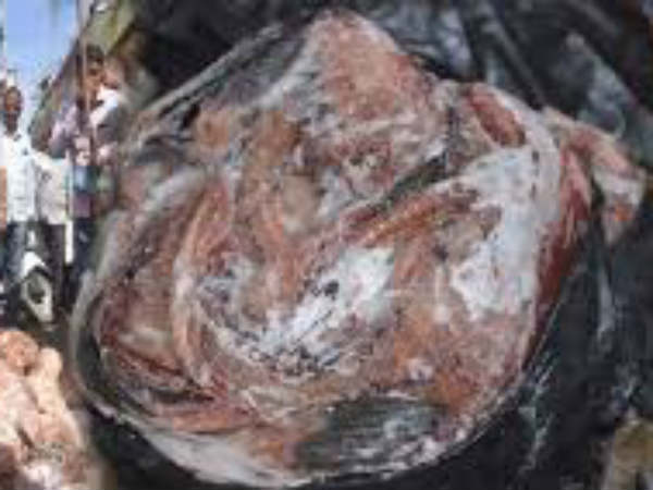 చచ్చిన వాటి...కొనుగోలుకే మొగ్గు