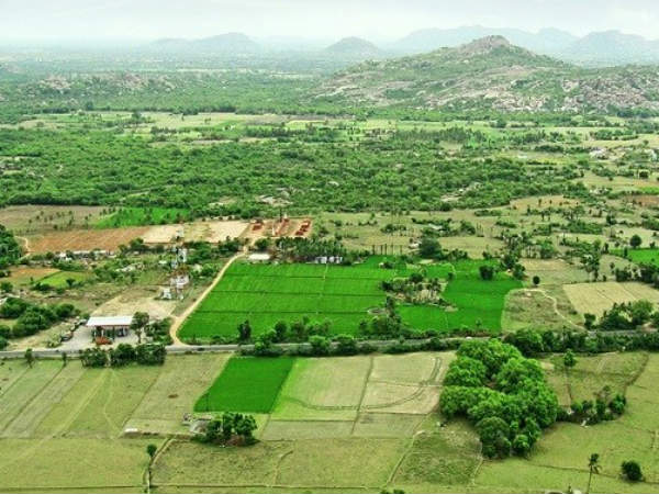 కొండల...సుందరీకరణ