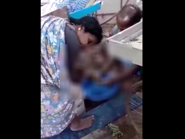 Bizarre news dag and cat their mid day meals in Bengaluru City Bizarre news dag and cat their mid day meals in Bengaluru City