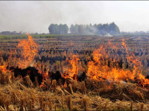 Crop burning in the North is spreading pollution not just to Delhi but even India’s South
