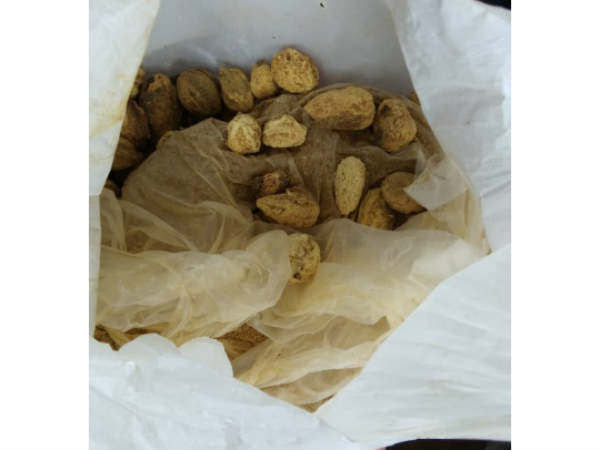 కొంటే రూ.1000.. అమ్మితే.. రూ. 1300