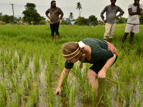 సరికొత్త పర్యాటకం