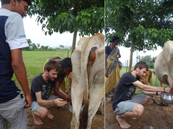 గ్రామీణ వాతావరణం పునర్ పరిచయం