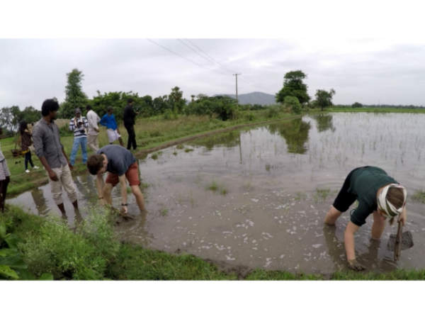 ఆనందం, ఆహ్లాదం