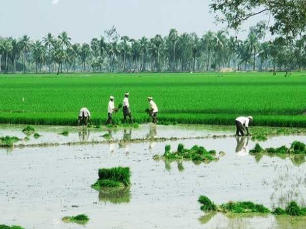  కాంట్రాక్ట్...సబ్ కాంట్రాక్ట్ 