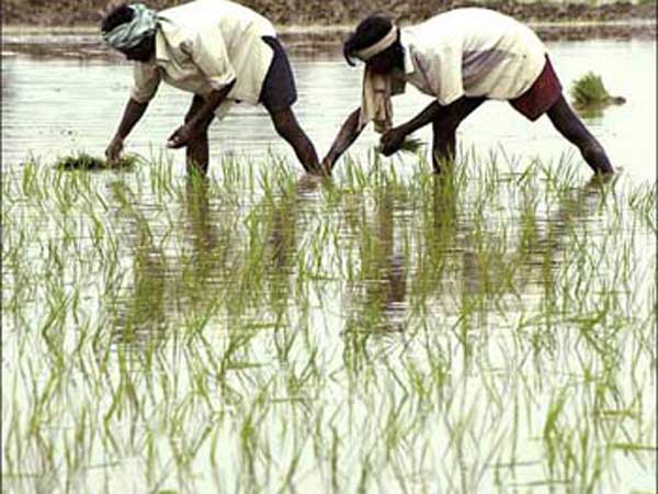  వినూత్న పద్దతి...నాణ్యత, వేగం