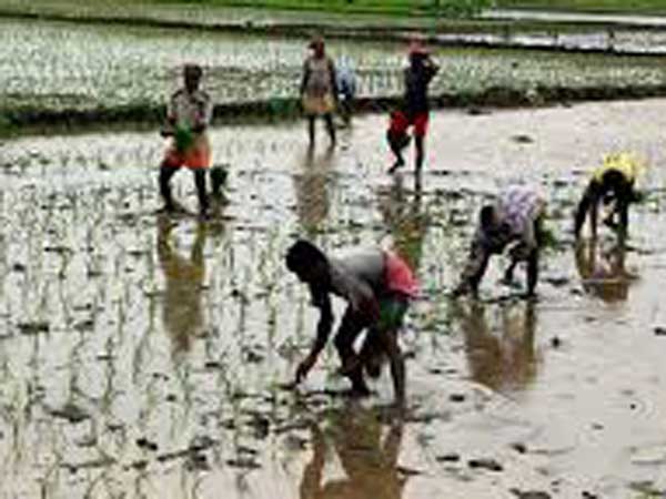 ఇక్కడ భోజనం...కర్ణాటకకు పయనం