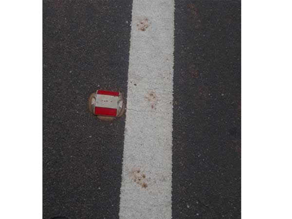 ముమ్మరంగా... ప్రయత్నాలు