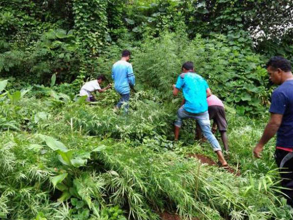 దాడులకు...ఎక్సైజ్, పోలీసుల వెనుకంజ