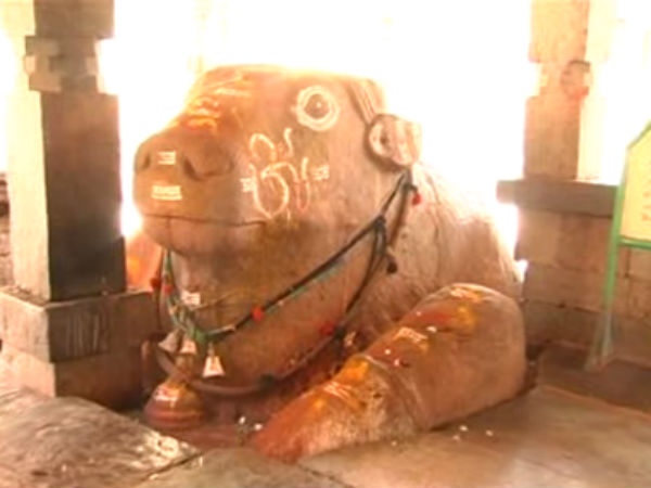 పెరుగుతూ పోతున్న నంది విగ్రహం