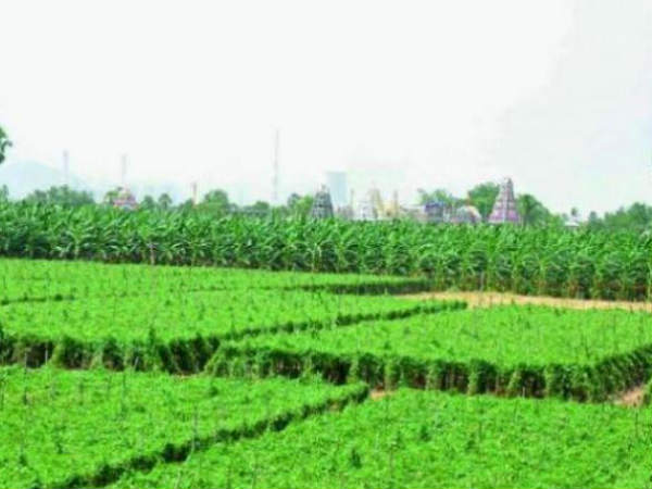 కేసు...వివరాలు ఇవి... కేసు...వివరాలు ఇవి...