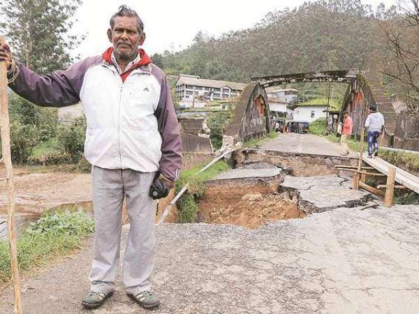 ఐదుగురి ప్రాణాలను కాపాడిన శునకం