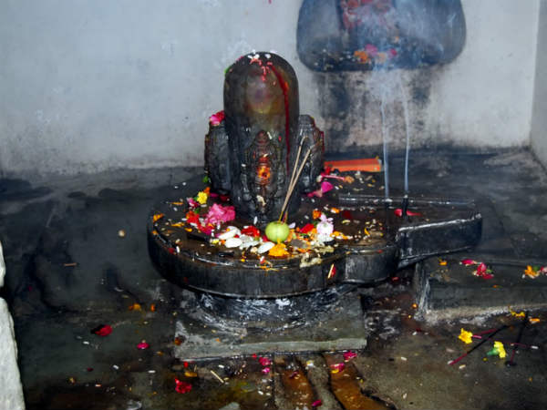 నాగుపాము కాపలా...విగ్రహాలు,నగలు భధ్రం నాగుపాము కాపలా...విగ్రహాలు,నగలు భధ్రం