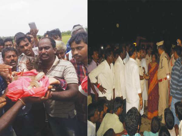 పాము మృతిపై...నివేదిక