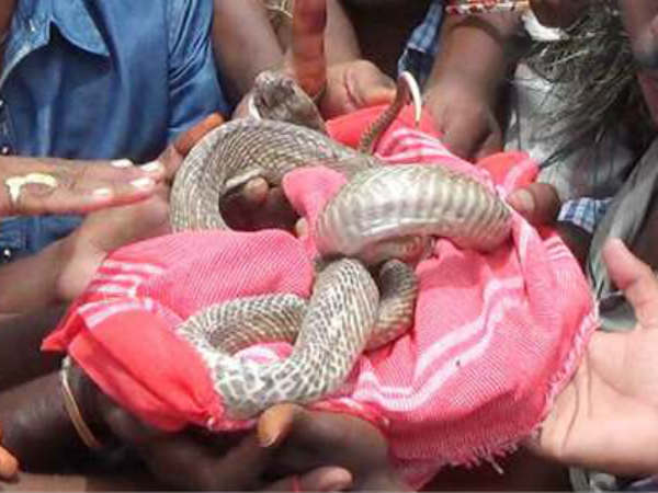 భక్తులు...జోక్యం