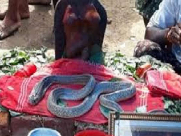 శ్రావణ మాసంలో...గుడి