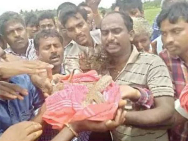 ఈ క్రమంలో...పాము హఠాన్మరణం