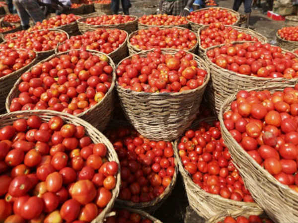 Tomato rate falls drastically to Rs.2 a kilo Tomato rate falls drastically to Rs.2 a kilo