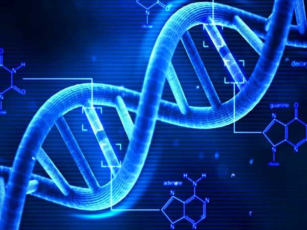 డీఎన్ఏ ఏం చెబుతోంది..?