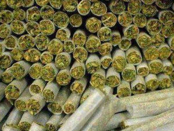 నిందితులకు మద్దతుగా..