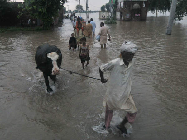 ముంపు ముప్పు...అప్రమప్తం ముంపు ముప్పు...అప్రమప్తం