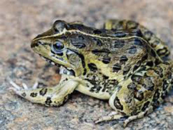 ఇదీ...అసలు సంగతి!