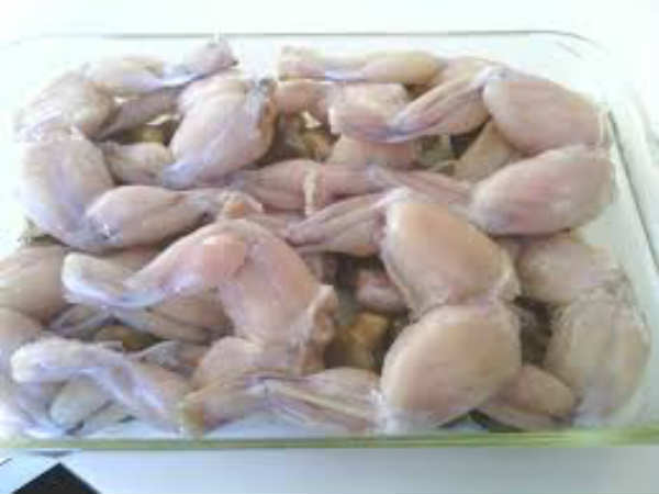 కప్పలు...ఎందుకు కరువయ్యాయంటే?...