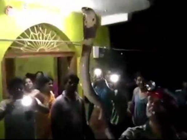 పామును నిలువరించిన మహ్మద్ రఫి