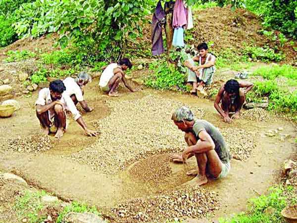 కలెక్టర్ కార్యాలయంలో వజ్రం