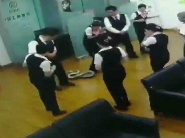 5-foot python falls from ceiling leaving bank staff terrified