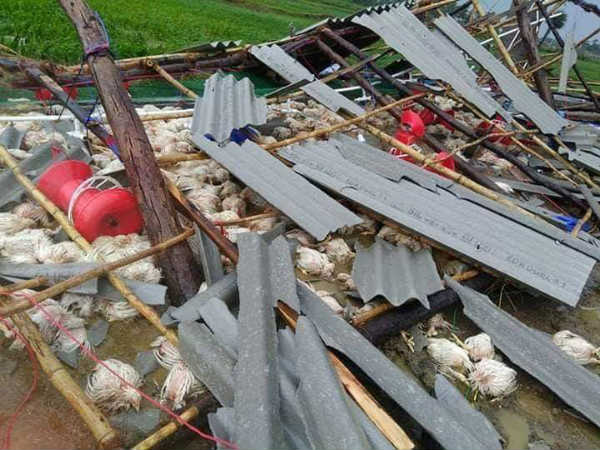 విపత్కర పరిస్థితుల్లోనూ దోపిడీ...?