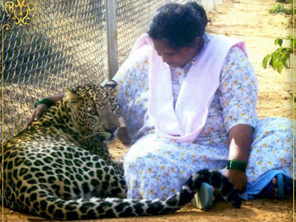 వేడుకలు రద్దు