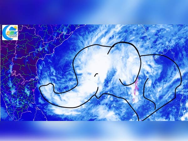 Cyclone Gaja death toll touches 45 in Tamil Nadu
