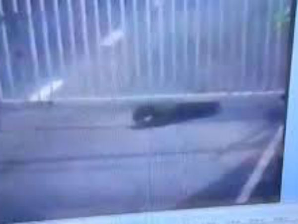 మెయిన్ బిల్డింగ్