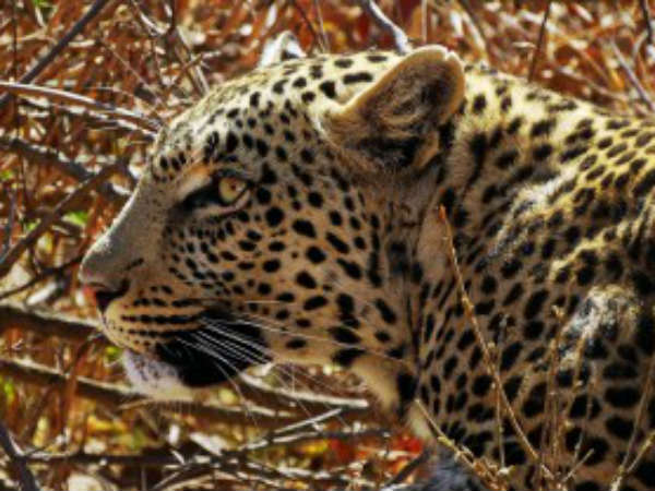 ముఖ్యమంత్రి అసహనం