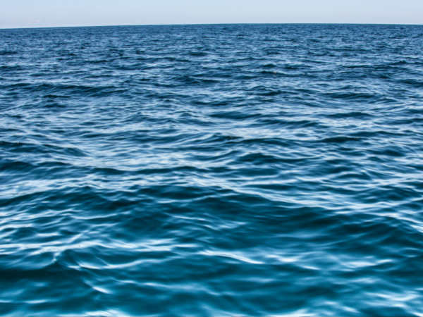  సముద్రపు అలలు - బ్రహ్మమునందు జీవులు