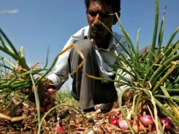 ప్రధాని కార్యాలయం అవమానించింది