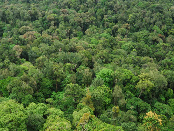  పక్కా స్కెచ్.. నెలకు కోటి లంచం