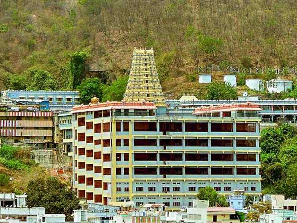 మహిళాభక్తులకు 100 రూపాయలతో చీర