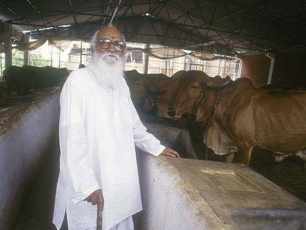  నానాజీ రాజకీయ జీవితం