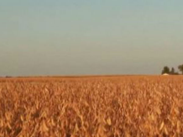 22 రోజులుగా కొనసాగుతున్న ఆర్మూరు రైతుల ఆందోళన 