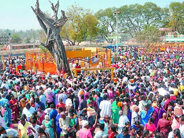 నాలుగు రోజుల పాటు సాగనున్న జాతర ... జనసంద్రంగా మేడారం నాలుగు రోజుల పాటు సాగనున్న జాతర ... జనసంద్రంగా మేడారం