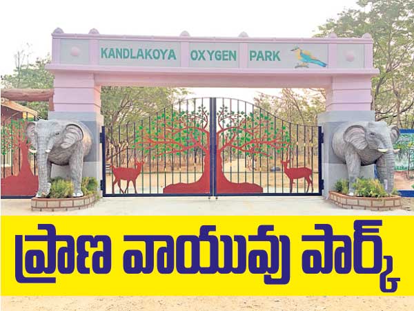 ప్రాణ వాయువు పుష్కలం