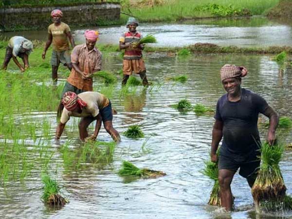 పట్టించుకోని క్రిందిస్థాయి అధికారులు 