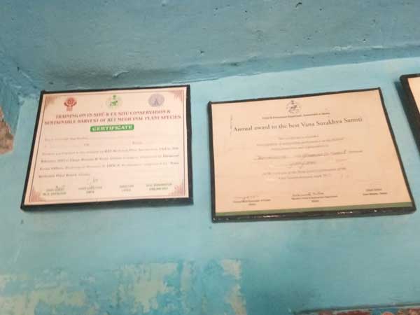 farmer pramila Bisoi is BJDs candidate from Aska Lok Sabha seat in Odisha farmer pramila Bisoi is BJDs candidate from Aska Lok Sabha seat in Odisha