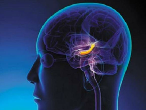 వానరంలో మనిషి మెదడు జన్యువు