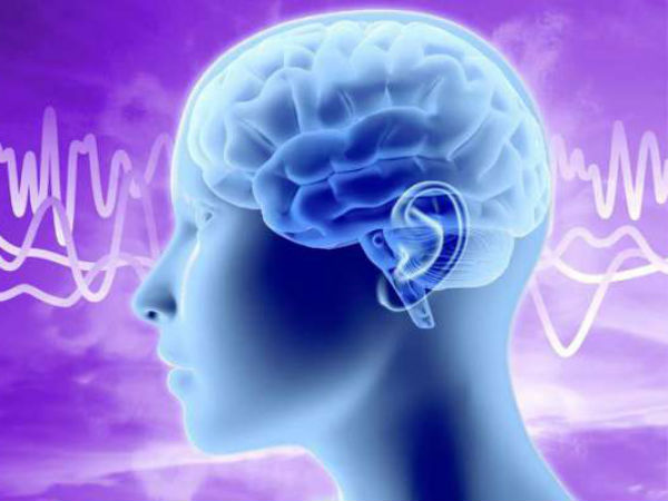 మనిషి తెలివితేటలపై అధ్యయనం